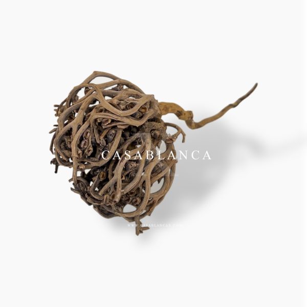 Flower of Maryam - Rose of Jericho - 100% Pure - Image 4